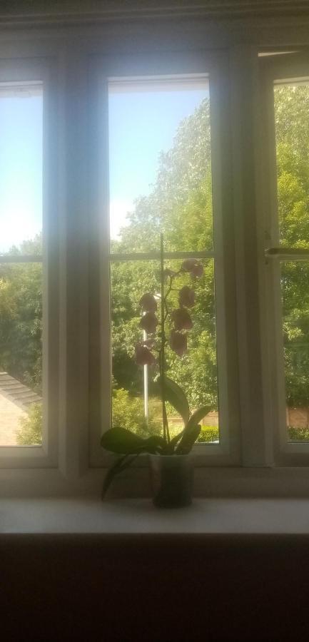 Parklife Apartment Liverpool Ngoại thất bức ảnh